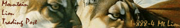 2 mountain lions buy jewelry and gifts. Mountain lions get their nutritional needs met here too.